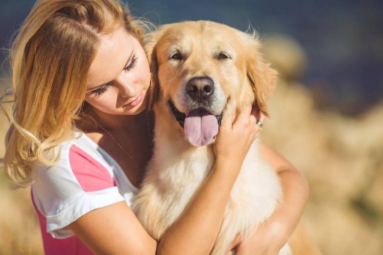 Giornata del cane, qual &egrave; il tuo rapporto con Fido?