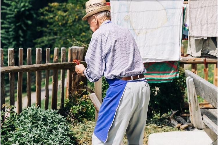 &ldquo;Coltiviamo agricoltura sociale&rdquo;, sesta edizione al via