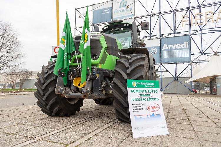 Latte,  Rolfi: &laquo;Siano previsti aiuti alla filiera&raquo;