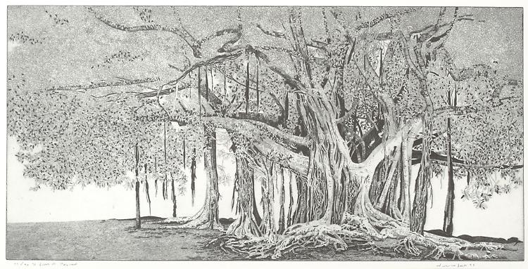 Le Acqueforti di Federica Galli - Mostra