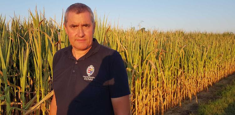 &laquo;Liberare subito acqua da tutti gli invasi alpini per salvare il raccolto&raquo;