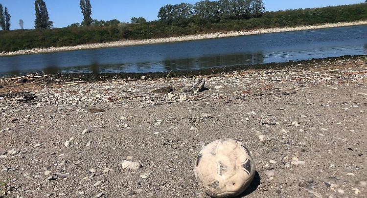 Siccit&agrave;, Po in secca e lanche asciutte: &laquo;allarme  pesce&raquo;