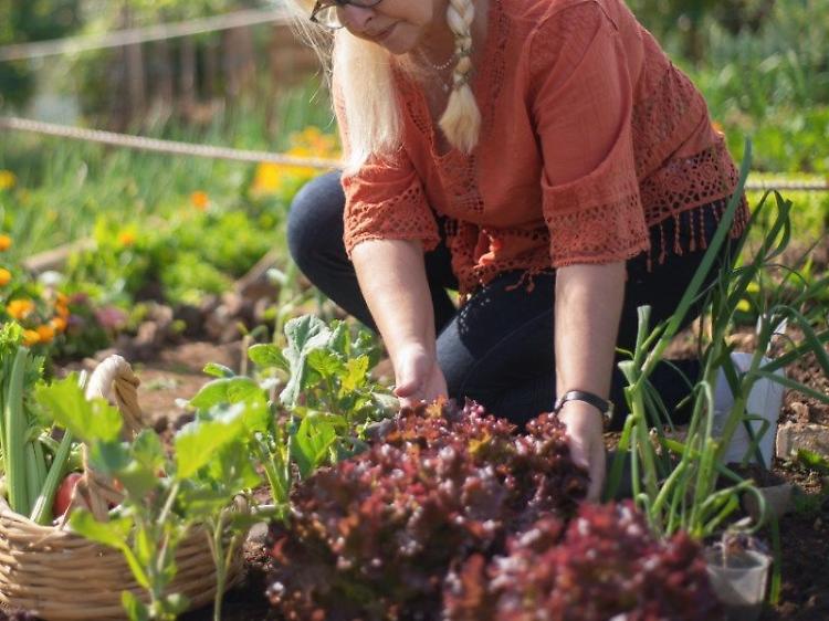 Confagri, al via Coltiviamo agricoltura sociale