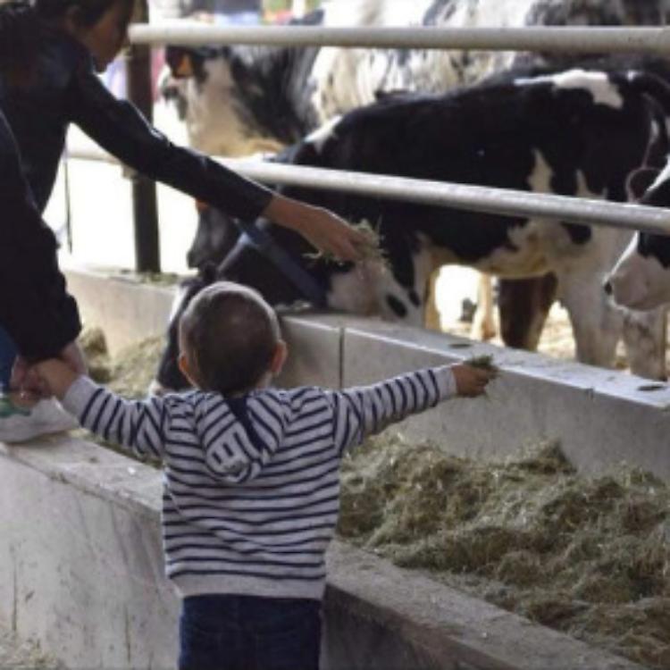 Travasi e laboratorio culinario per bambini a C&agrave; de Alemanni