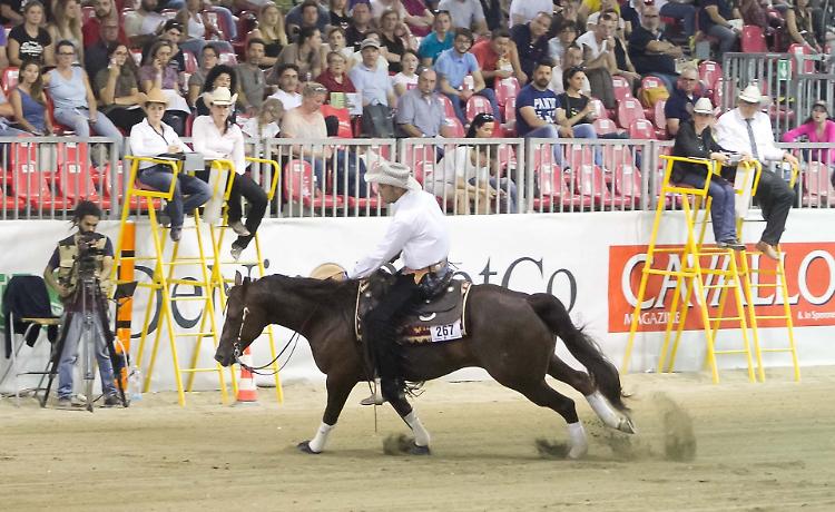 CremonaFiere, torna il Salone del Cavallo