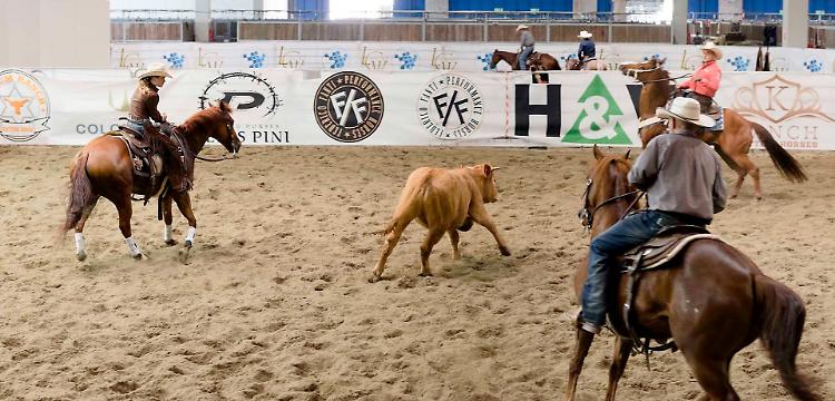 Cavallo americano: il Far West dà  spettacolo 