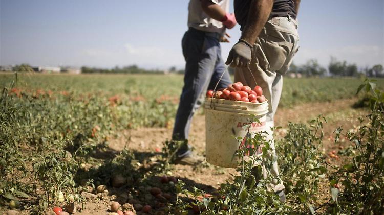 Migrare: il diritto e la fatica, proiezione del film ''One day one day''