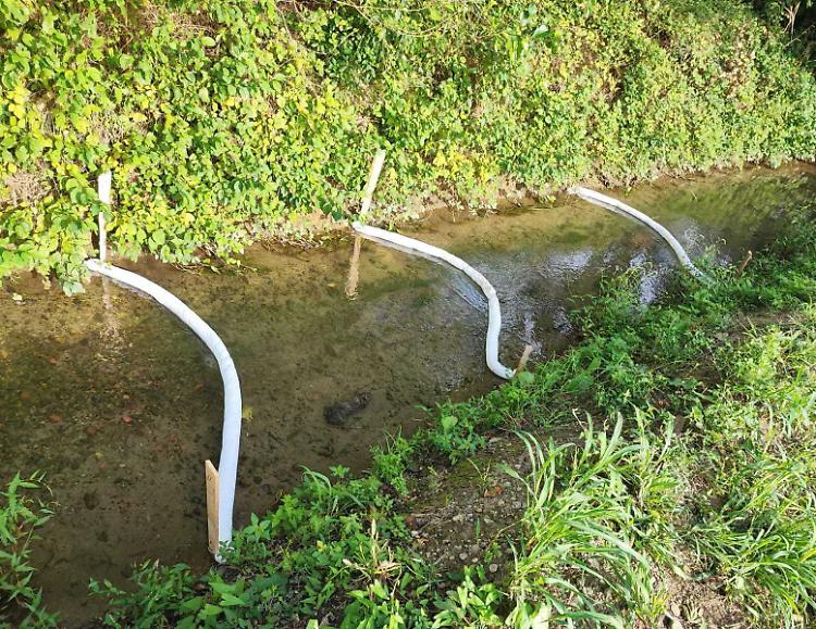 Il gasolio soffoca la roggia