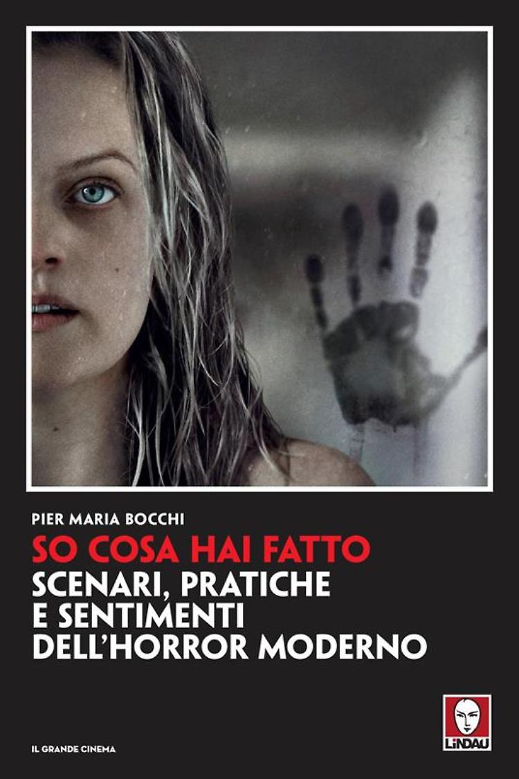 Discussione sul libro "So cosa hai fatto" di Pier Maria Bocchi