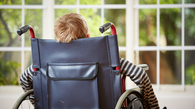 Saap, Portesani: "E' solo ultimo tassello di un’amministrazione pasticciona e incresciosa"