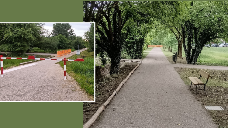 Un nuovo salotto verde per tutti: il parco rinasce tra natura e inclusività