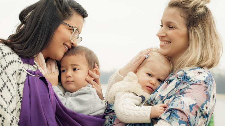 Madri intenzionali, FdI: &laquo;Donne come oggetti&raquo;