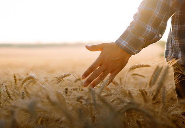 Cos&igrave; il Giubileo incontra gli agricoltori
