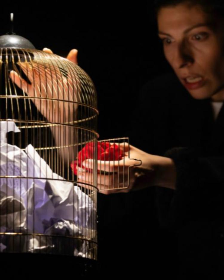 "Capinera " -  Acrobatiche poetiche 2025