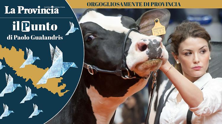 Zootecniche a Cremona: un circolo virtuoso