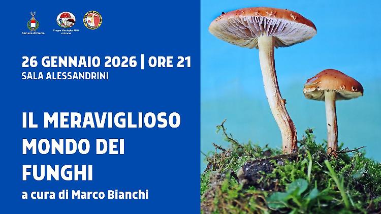 Incontro: "Il meraviglioso mondo dei funghi"
