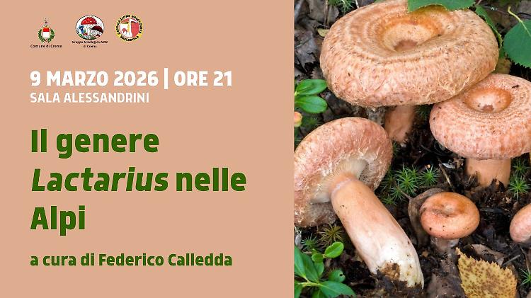 Conferenza: il genere Lactarius nelle Alpi