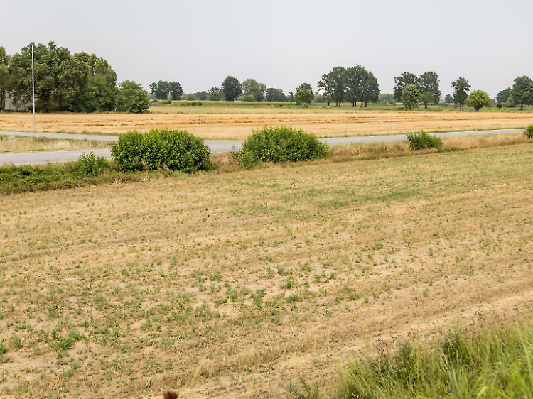 Siccit&agrave;: &laquo;Serve acqua per irrigare i campi&raquo;
